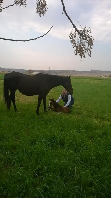 Venterstad Morning Glory Cottages מראה חיצוני תמונה